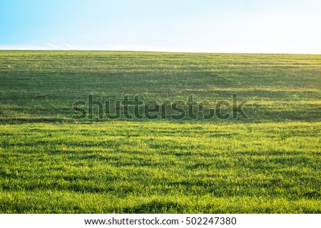 Outdoor countryside meadow grass nature. Rural grass field landscape. Background photography of natural summer landscape. Green lush grass field, nature concept. Agricultural grass field pastures