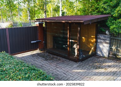 Outdoor Dog Kennel Enclosure On Front Yard