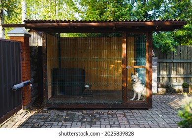 Outdoor Dog Kennel Enclosure On Front Yard