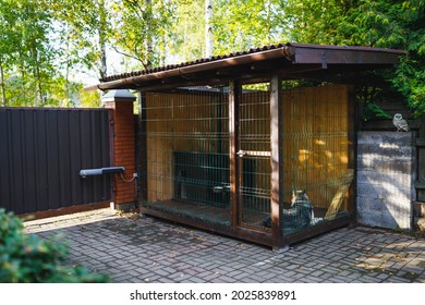 Outdoor Dog Kennel Enclosure On Front Yard