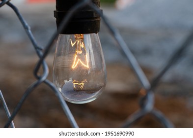 Outdoor Edison Light Bulb At Dusk