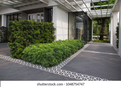 Outdoor Empty Corridor With Garden In The Modern Office Building.