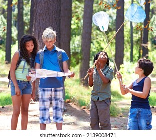 An Outdoor Experience. Multi-ethnic Kids Exploring A Map While Standing Outside In A Forest.