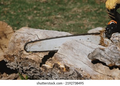 Outdoor Farm Labor With Chainsaw Cutting Tree.