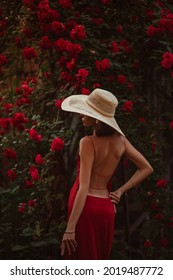 Outdoor Fashion Portrait Of Elegant Beautiful Woman Wearing Luxury Wide Brim Straw Hat, Red Dress With Naked Back, Posing Near Blooming Roses
