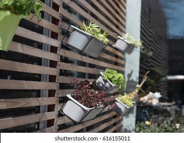 Outdoor Flower Pot Hanging On Wooden Fence For Small Garden, Patio Or Terrace