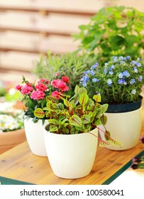 Outdoor Flower Pots For Small Garden, Patio Or Terrace