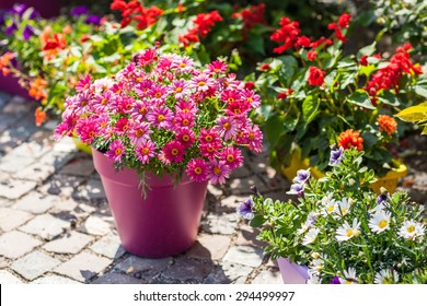 Outdoor Flower Pots For Small Garden, Patio Or Terrace