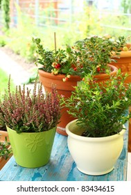 Outdoor Flower Pots For Small Garden, Patio Or Terrace