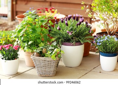 Outdoor Flower Pots For Small Garden, Patio Or Terrace