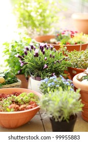 Outdoor Flower Pots For Small Garden, Patio Or Terrace