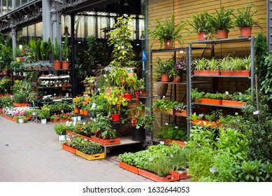 Outdoor Flower Shop On A European City Street