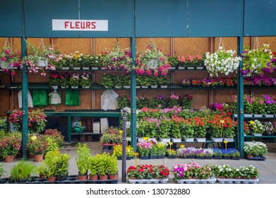 Outdoor Flower Shop In Paris, France