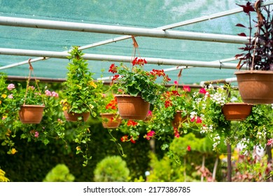 Outdoor Flower Shop In The Park.