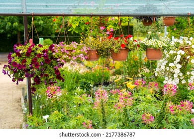 Outdoor Flower Shop In The Park.