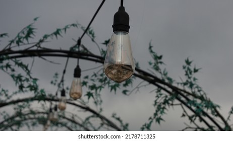 Outdoor Garden Chandelier In The Afternoon