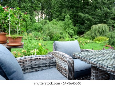 Closeup Rattan Table Fruit Juice On: foto de stock (editar ahora