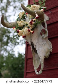 Outdoor Halloween Decoration Close Up Photo. Cow Scull With Wreath Of Dry Wild Roses And Lights. 