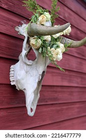 Outdoor Halloween Decoration Close Up Photo. Cow Scull With Wreath Of Dry Wild Roses And Lights. 