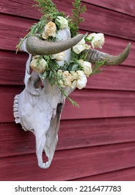 Outdoor Halloween Decoration Close Up Photo. Cow Scull With Wreath Of Dry Wild Roses And Lights. 