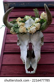 Outdoor Halloween Decoration Close Up Photo. Cow Scull With Wreath Of Dry Wild Roses And Lights. 