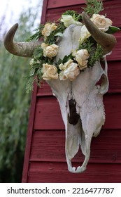 Outdoor Halloween Decoration Close Up Photo. Cow Scull With Wreath Of Dry Wild Roses And Lights. 