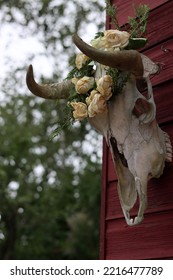 Outdoor Halloween Decoration Close Up Photo. Cow Scull With Wreath Of Dry Wild Roses And Lights. 