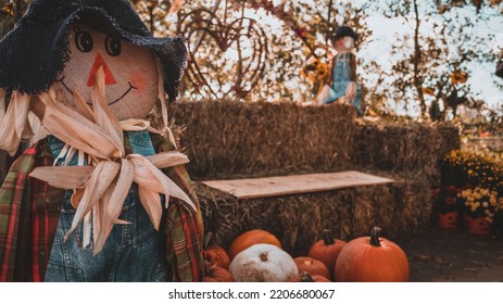 An Outdoor Halloween Decoration With Cute Scarecrow And Pumpkins In The Brown Garden