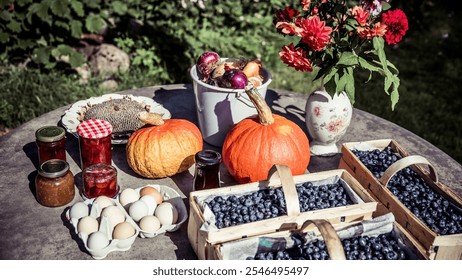 Outdoor harvest table with homemade preserves, jams, pumpkins, blueberries, wooden crates, eggs, onions, dahlias, fall harvest, rustic setting, natural light, farm style, seasonal produce - Powered by Shutterstock