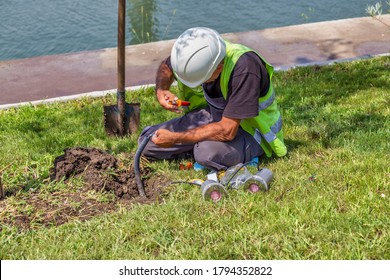 Outdoor Installing Ground Spots Lights At Bottom Of Tree, Low Voltage Landscape Lighting - Tree Lighting.