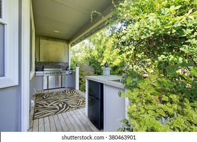 Outdoor Kitchen Area With Decorative Zebra Rug.