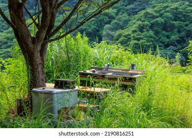 Outdoor Kitchen Under Tree Amid Tall Grass