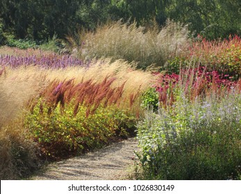 An Outdoor Landscape Of A Stunning Colourful  Purple Green And Shades Of Brown And Yellow Grasses Shrubs And Flowers Planted In A Garden Border Beside A Gravel Pathway In Late Summer Early Fall 