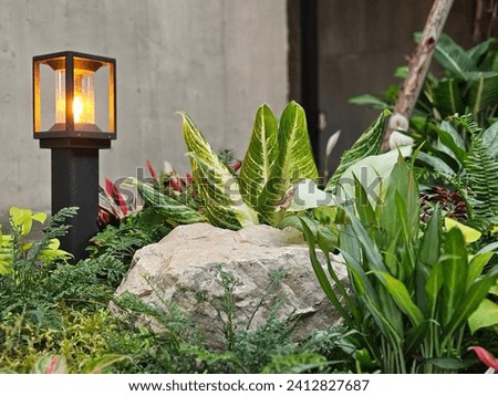 Outdoor lighting pole with green tropical garden and gravel floor.