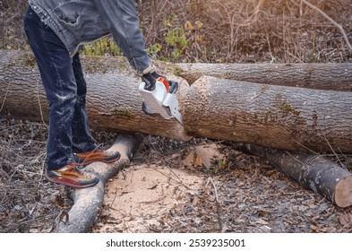 Outdoor Lumberjack Cutting Fallen Tree with Chainsaw in Forested - Powered by Shutterstock