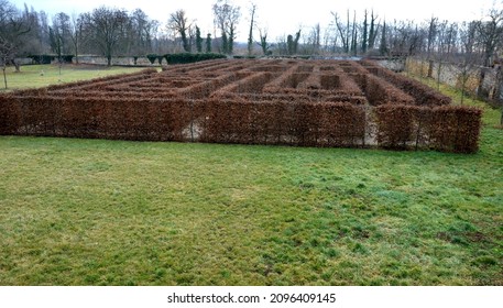 outdoor maze for kids. he planted hornbeams in a row in a hedge. the plants are mulched. there is a gray gravel road between the lines. in winter whole maze can be seen from a height. lawn in castle