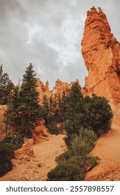 Outdoor National Park Nature Photography