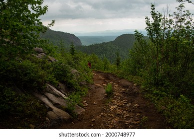 Outdoor nature brown dirt trail with green trees on the side with lush green mountains in the background 