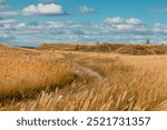 outdoor, nature, field, autumn, background, summer, steppe, landscape, grass, sky, blue, natural, plant, scenery, beautiful, view, yellow, rural, scenic, cloud, mountain, green, meadow, sunny, travel,