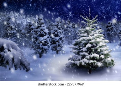 Outdoor Night Shot Of A Nice Fir Tree In Thick Snow, For The Perfect Christmas Mood