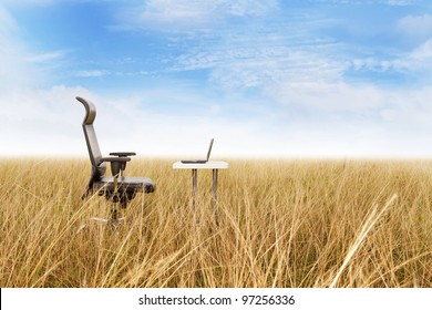 Outdoor Office In A Golden Grass With A Clear Blue Sky