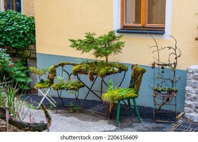 Outdoor Old Chair And Furniture Covered Big Green Plants.