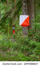 Outdoor Orienteering Check Point Activity