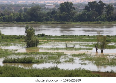 Outdoor panoramic view of fields and water beside Niger river, located in Niamey city, Niger, West Africa. November, 10, 2019. Wetlands, trees, palms and vegetation visible. Blue sky in background.