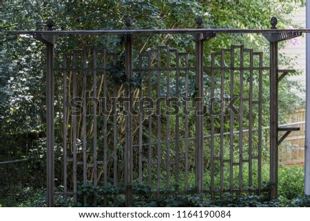 Similar – Image, Stock Photo Stories from the fence .156