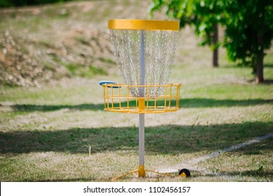 outdoor park discgolf sports game. Sunny day.