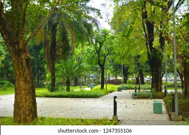 Outdoor Park Mehan Garden Manila Philippines Stock Photo (Edit Now ...