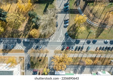 Outdoor Parking Lot With Parked Cars Among Yellow Autumn Trees. Aerial Top View.