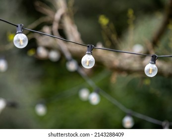 Outdoor Party String Lights Hanging In Backyard On Green Bokeh Background With Copy Space