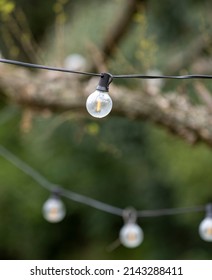 Outdoor Party String Lights Hanging In Backyard On Green Bokeh Background With Copy Space